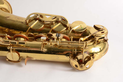 Beaugnier Vito Tenor Great Value