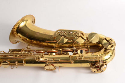 Beaugnier Vito Tenor Great Value