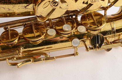 Beaugnier Vito Tenor Great Value