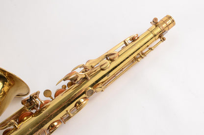 Beaugnier Vito Tenor Great Value