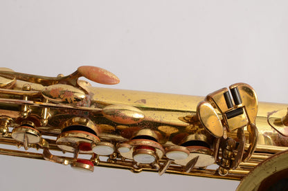 Beaugnier Vito Tenor Great Value