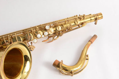 Beaugnier Vito Tenor Great Value