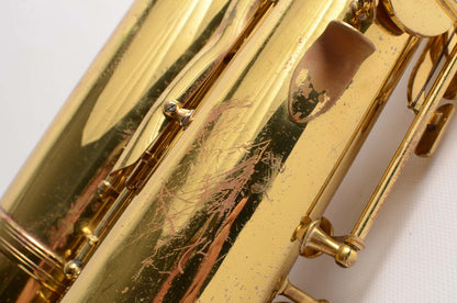 Beaugnier Vito Tenor Great Value