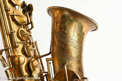 Buescher New Aristocrat Original GOLD Plate DOG Portrait Rascher Serial Amazing Player! 267734