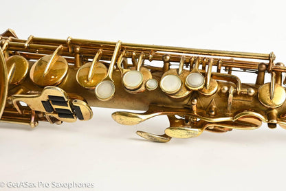 Buescher New Aristocrat Original GOLD Plate DOG Portrait Rascher Serial Amazing Player! 267734