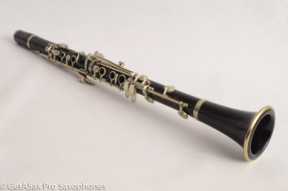 Buffet R13 Golden Age Professional Clarinet