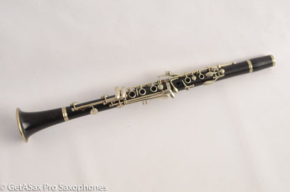 Buffet R13 Golden Age Professional Clarinet