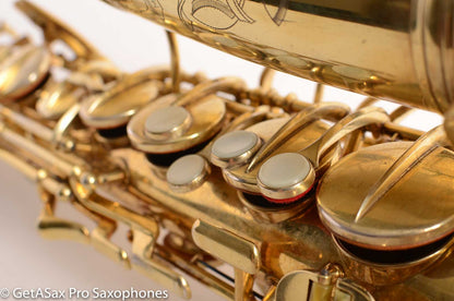 Conn 6M Alto Gold Saxophone 253773