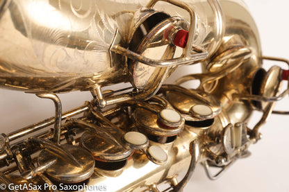 Conn New Wonder 1 Alto Burnished Gold Stunning Portrait Engraved Old Pads 139214