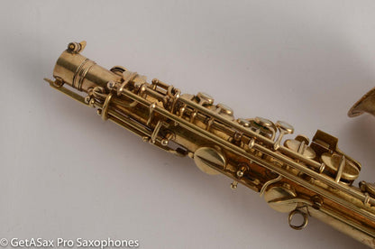 Conn Burnished Gold Portrait New Wonder II Alto needs pads