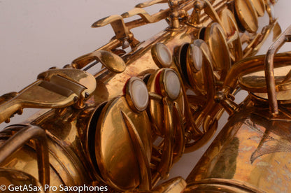 Conn New Wonder II Alto Burnished Gold with Portrait! Old Pads 203916