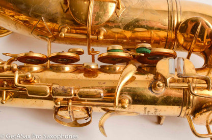 Conn New Wonder II Alto Burnished Gold and Portrait Amazing 203012