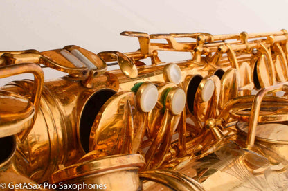 Conn New Wonder II Alto Burnished Gold and Portrait Amazing 203012