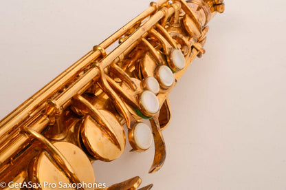 Conn New Wonder II Alto Burnished Gold and Portrait Amazing 203012