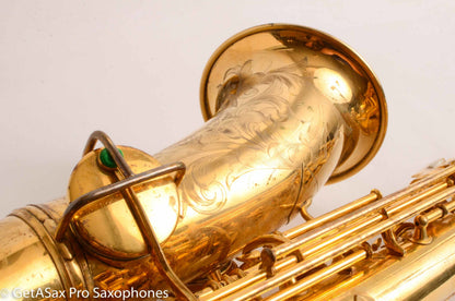 Conn New Wonder II Alto Burnished Gold and Portrait Amazing 203012