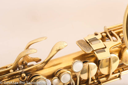 Conn New Wonder II ‘Chu Berry’ Alto Burnished Gold Portrait