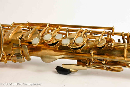 Conn New Wonder II Burnished Gold Portrait Tenor Castle Overhauled Exceptional 208324