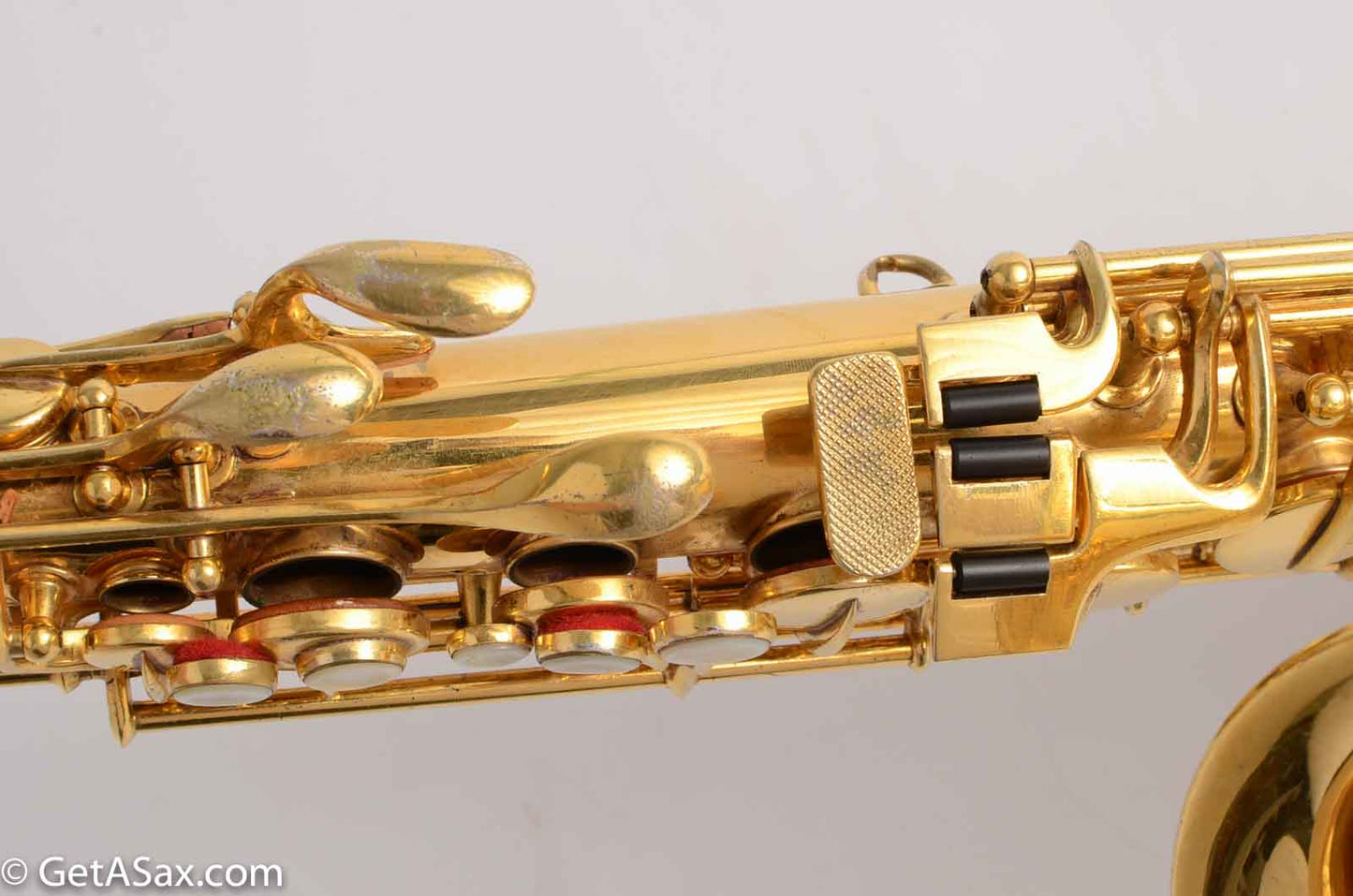 Conn New Wonder II Alto Burnished Gold w/ Portrait!
