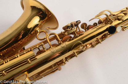 Couf Superba 1 Alto Excellent Original Lacquer