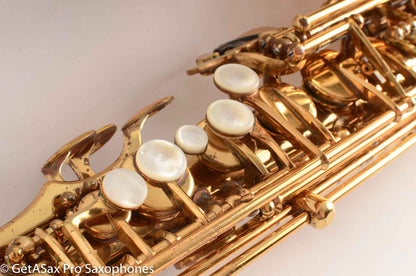 Couf Superba 1 Alto Saxophone Fresh Overhaul! Great Player! 79506