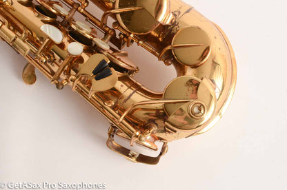 Couf Superba 1 Alto Original Lacquer Fresh High-End Overhaul Plays Great