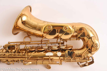 Couf Superba 1 Alto Saxophone Recent High End Overhaul! 81471