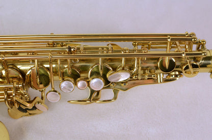 Yanagisawa A-880 Alto Saxophone Near Mint