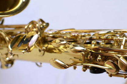Yanagisawa A-880 Alto Saxophone Near Mint