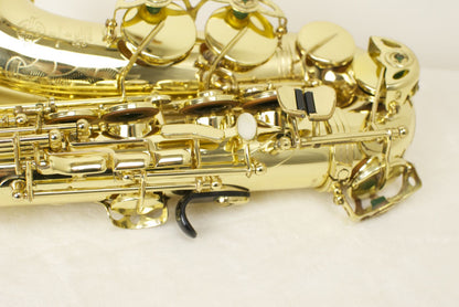 Selmer Super Action 80 Series II Alto Saxophone