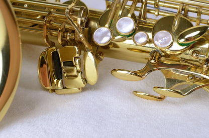 Yanagisawa T-880 Tenor Saxophone Martin
