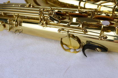 Yanagisawa T-880 Tenor Saxophone Martin