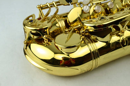 Yanagisawa A-991 Alto Saxophone Like New MINT 310xxx