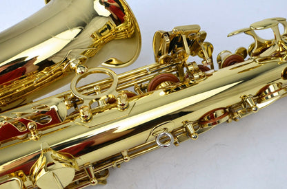 Yanagisawa A-991 Alto Saxophone Like New MINT 310xxx
