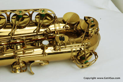 Selmer Mark VI Alto Saxophone 134xxx Low A Mint