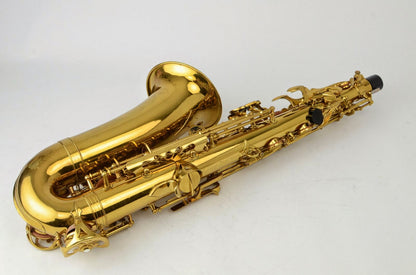 Buffet Super Dynaction Alto 17xxx Gorgeous Condition! Overhauled