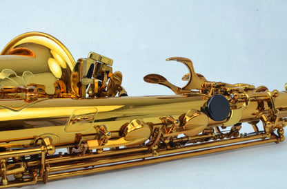 Selmer Reference 54 Alto Near Mint 661xxx