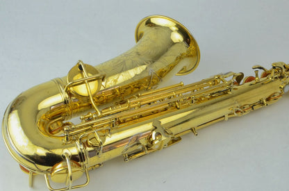 Conn New Wonder I Alto Saxophone Burnished Gold-plated 101xxx