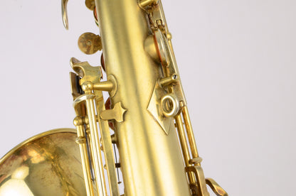 Martin Searchlight / Skyline Alto Gold Plated 120xxx