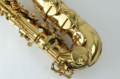 SML Gold Medal Alto 'Lucerne' New Old Stock!