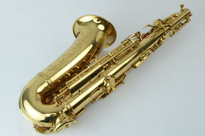 SML Gold Medal Alto 'Lucerne' New Old Stock!