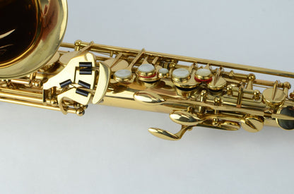 SML Gold Medal Alto 'Lucerne' New Old Stock!