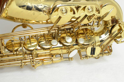 Yanagisawa A-880 Alto Saxophone