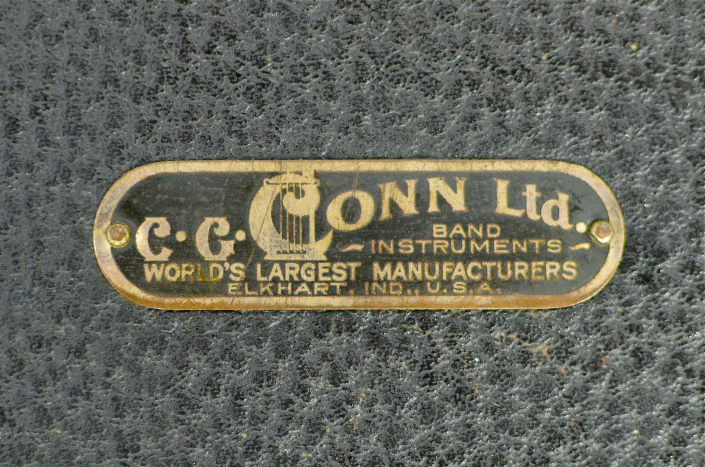 Conn New Wonder II Alto "Chu Berry" Gold Plated 154xxx