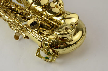 Selmer Series III Alto Saxophone 695xxx