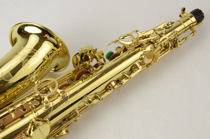 Selmer Series III Alto Saxophone 695xxx