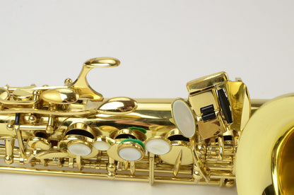 Selmer Series III Alto Saxophone 695xxx