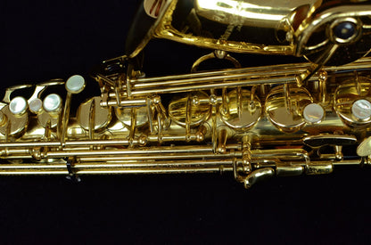 Yanagisawa A-901 Alto Saxophone