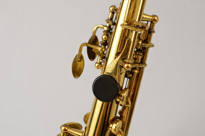 Yanagisawa SopraNINO 102xxx