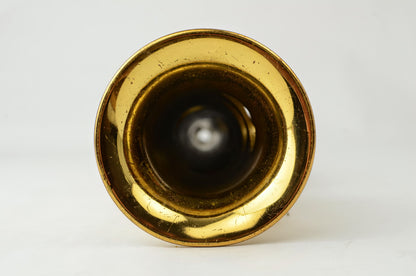 Yanagisawa SopraNINO 102xxx