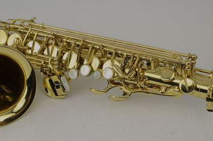 Selmer Series III Alto 602xxx $400 Setup!